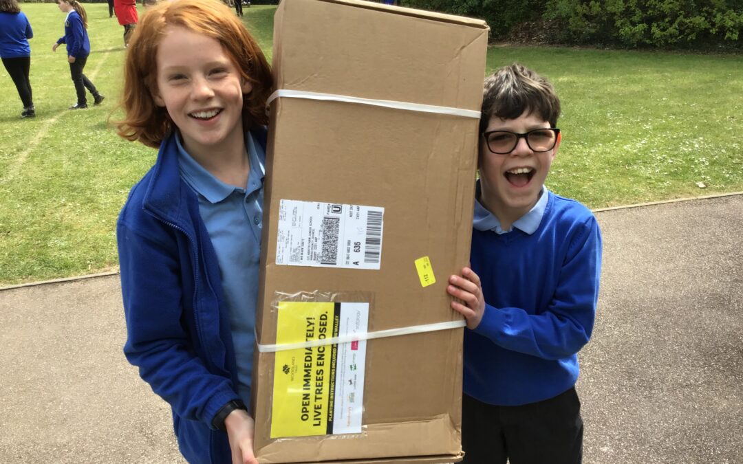 Special Delivery for the Eco-Committee