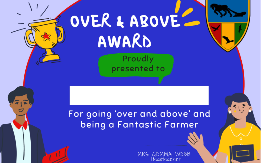 AFJS Over and Above awards