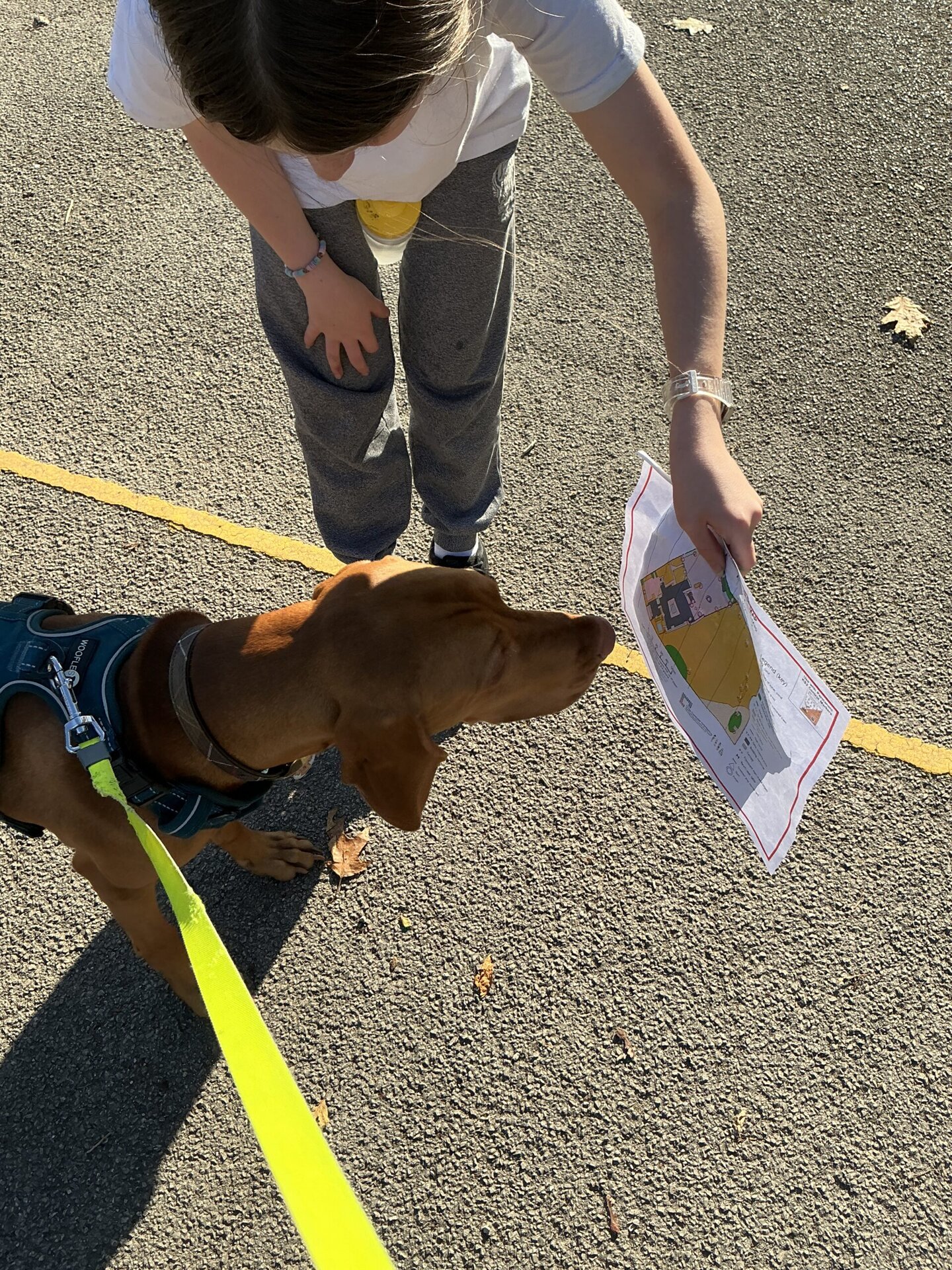 What has Chase been up to?