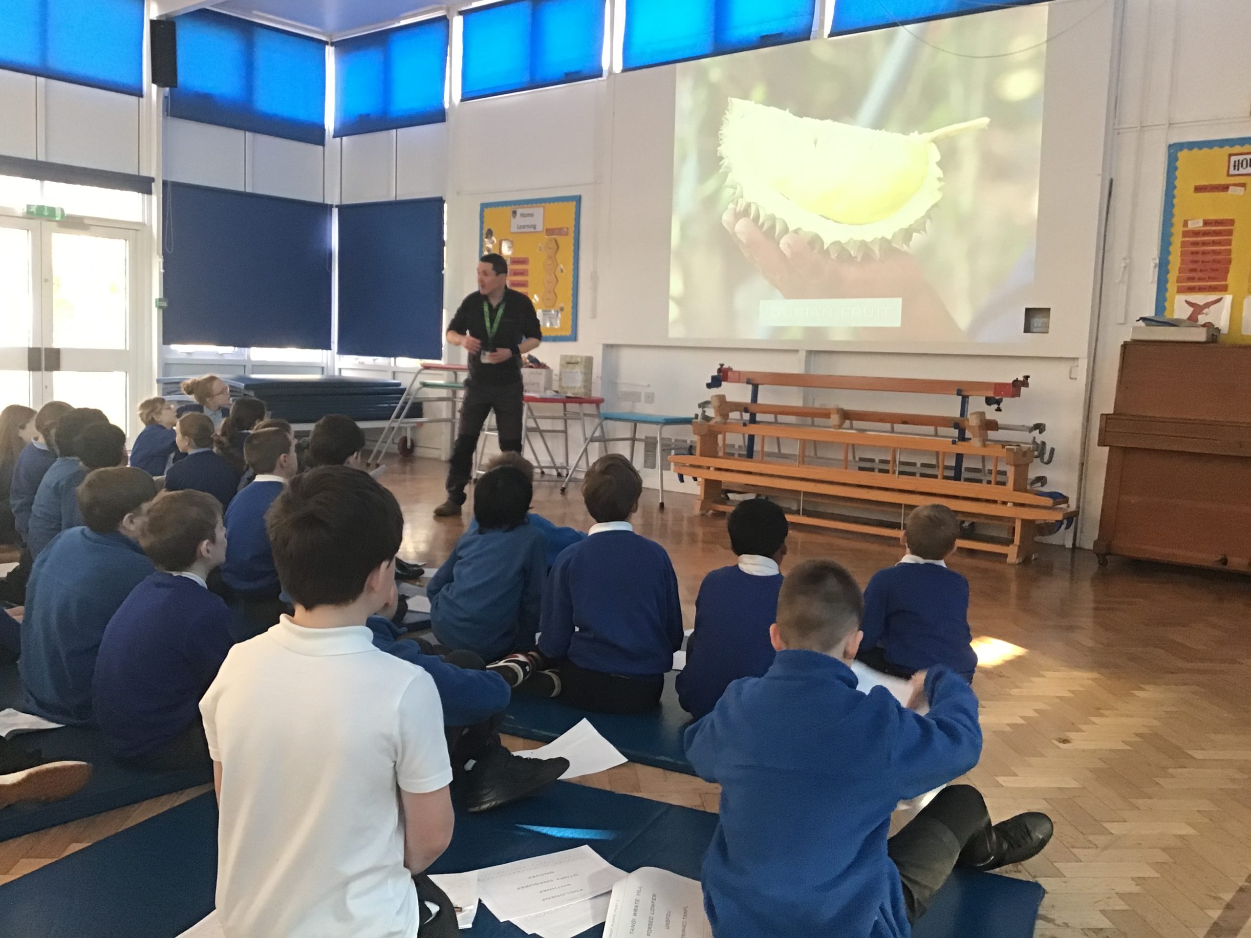 Rainforest day for year 5